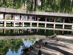 -团结湖公园