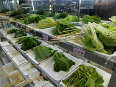 -袁记串串香(人民公园店)