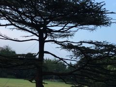 -御花园·粤菜·海鲜火锅(中山公园店)