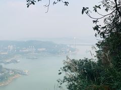 -南山植物园