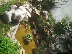-美味之家·湖景农家乐(太湖东山店)