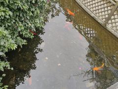 -九尺赵老四鲜鹅肠火锅
