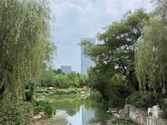 -丁家河公园
