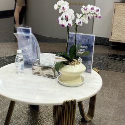 -上海首尔丽格医疗美容医院