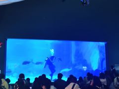 -常州海昌海洋探索馆