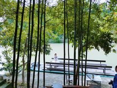 -广州市流溪河国家森林公园