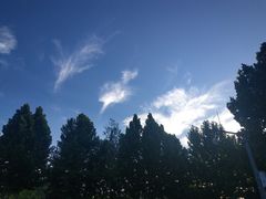 -星巴克(北京新东安)