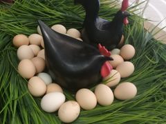 -黑鸡小馆(金源店)