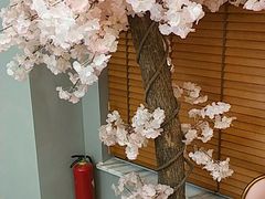 -妥妥烤肉料理(昙华林店)