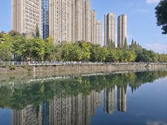 -成都市活水公园