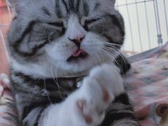 -正阳春烤鸭店(杨楼店)