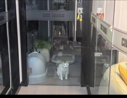 -CICI街舞专业培训