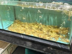 -紫阳海鲜楼·传承闽味(长乐路总店)