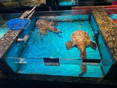 -拉完海鲜大排档(温岭店)