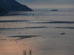 -北岐滩涂