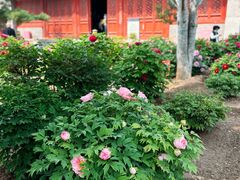 -大钟寺古钟博物馆