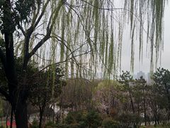 -西安青龙寺遗址景区