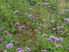 -雪浪山卡丁车俱乐部
