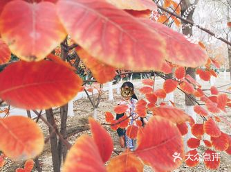 北京亲子游攻略之南海子公园