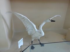 -亿利库布其七星湖沙漠生态旅游区