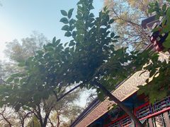 -白家大院·王府宫廷菜(苏州街店)