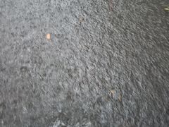 -江南大学(蠡湖校区)