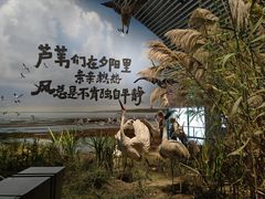 -中国湿地博物馆