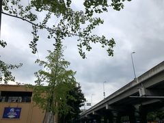 -盒马鲜生(莱蒙都会店)
