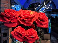 -LES ELITES 英集荟(南京西路店)