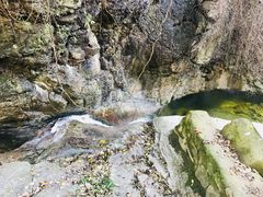 -王顺山国家森林公园