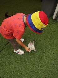 -萌宠亲子动物乐园(槐房万达店)