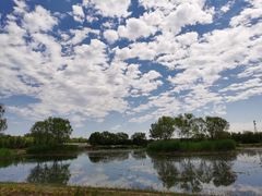 -大兴滨河森林公园