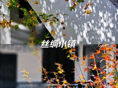-中国湖笔博物馆(莲花庄路)