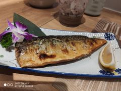 -酒井酱子·深夜食堂(东城汇店)