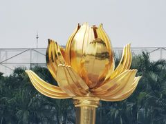 -金莲花广场
