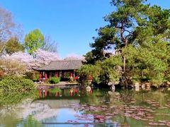 -杭州植物园