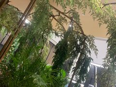 -虾佬圣汤·海鲜姿造(乐堤港店)