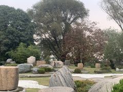 -中国唐苑