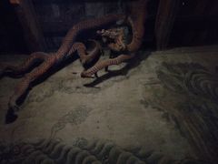 -张掖大佛寺景区