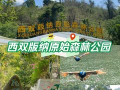-西双版纳原始森林公园
