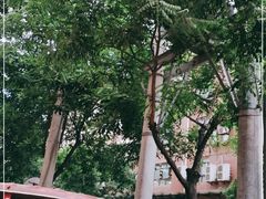 -五谷香自助涮烤火锅(青年南街店)