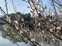 -尚贤河湿地