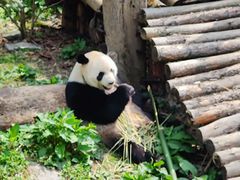 -黔灵山公园