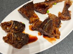 -新吉士·上海菜(浦东LCM置汇旭辉店)