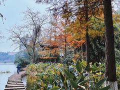 -重庆彩云湖湿地公园