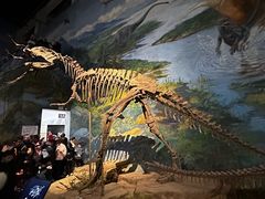 -自贡恐龙博物馆