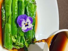 -南海渔村(珠江新城店)