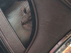 -MOLLY'S萌宠生活馆