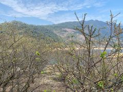 -广州市流溪河国家森林公园