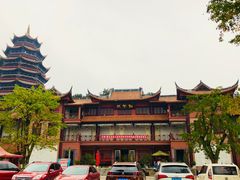 -铁山坪森林公园